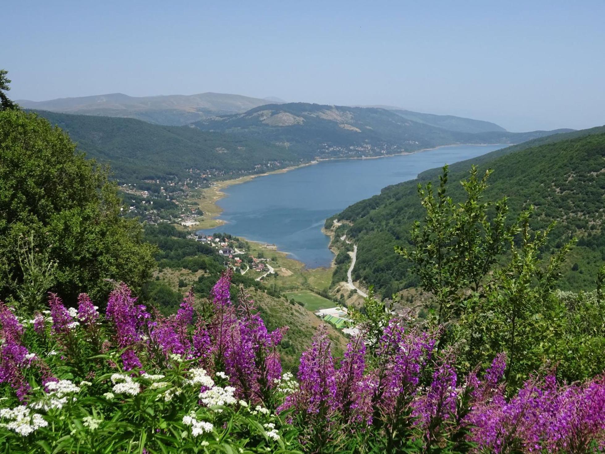 Forest View Apartment Mavrovo Luaran gambar