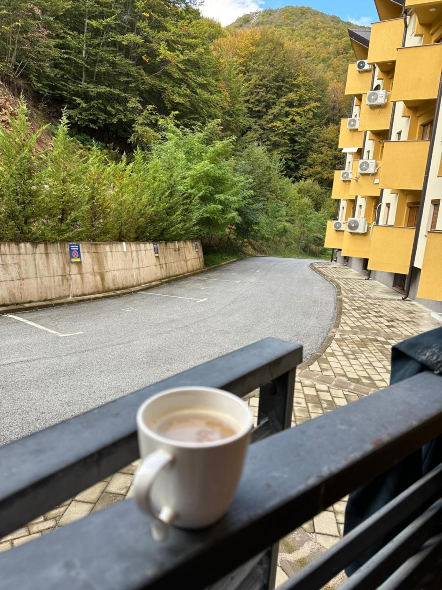 Forest View Apartment Mavrovo Luaran gambar