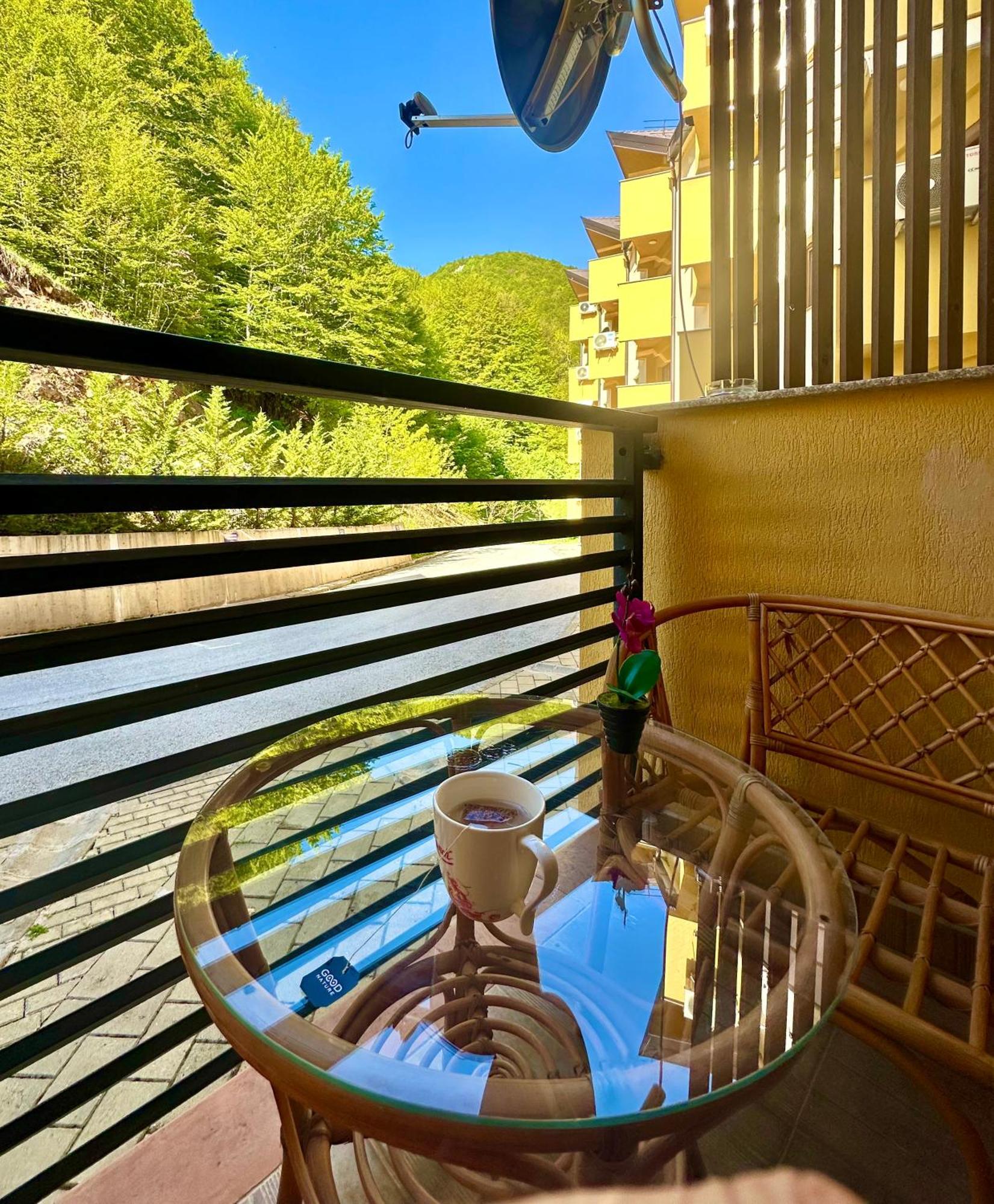 Forest View Apartment Mavrovo Luaran gambar